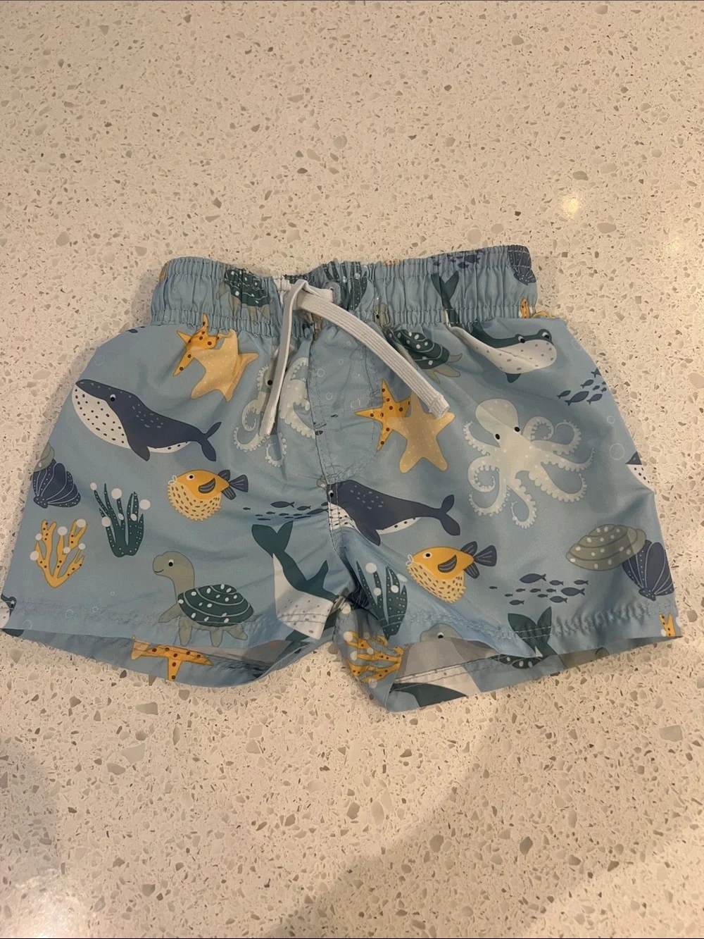 Light Blue baby Swim Shorts with Ocean Animal Print